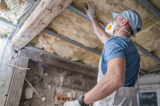 Best Eco-Friendly Insulation in Gages Lake, IL