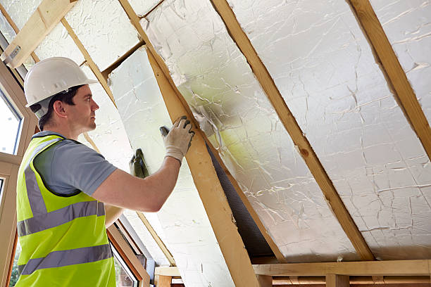 Best Insulation Maintenance and Repair in Gages Lake, IL