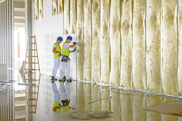 Best Eco-Friendly Insulation in Gages Lake, IL